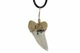 Fossil Mako Tooth Necklace - Bakersfield, California #95262-2